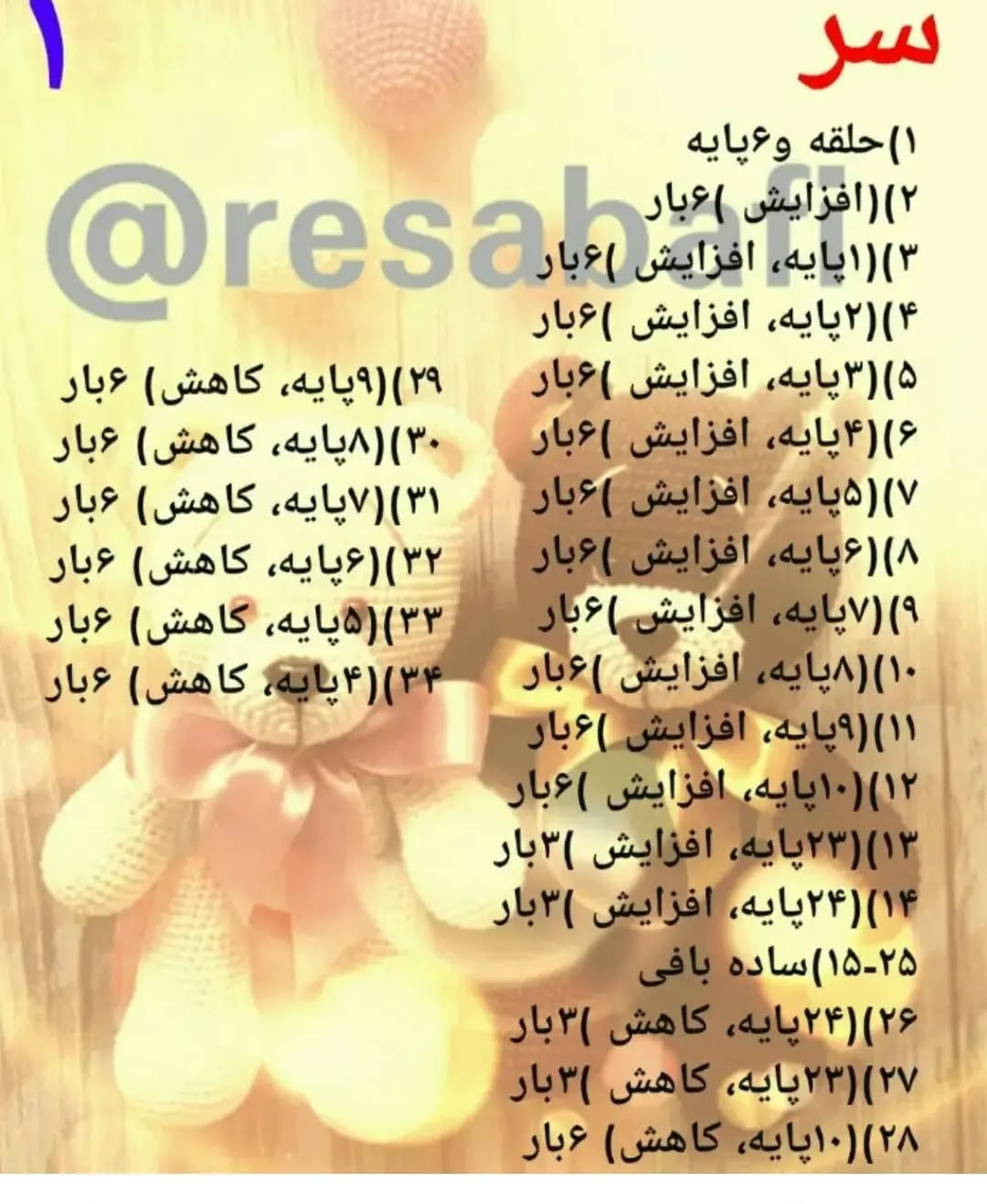 آموزش خرس های دوقلو