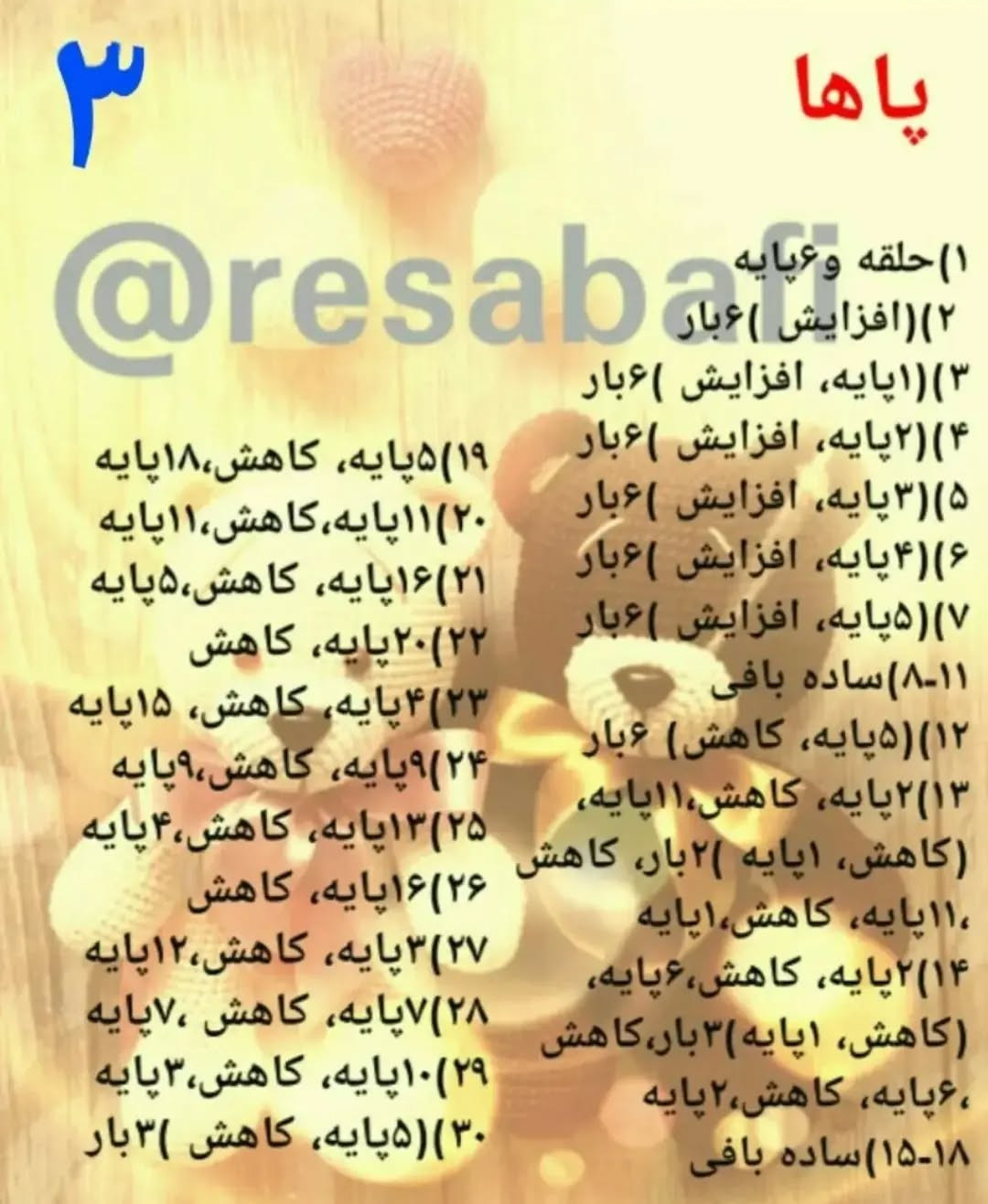 آموزش خرس های دوقلو