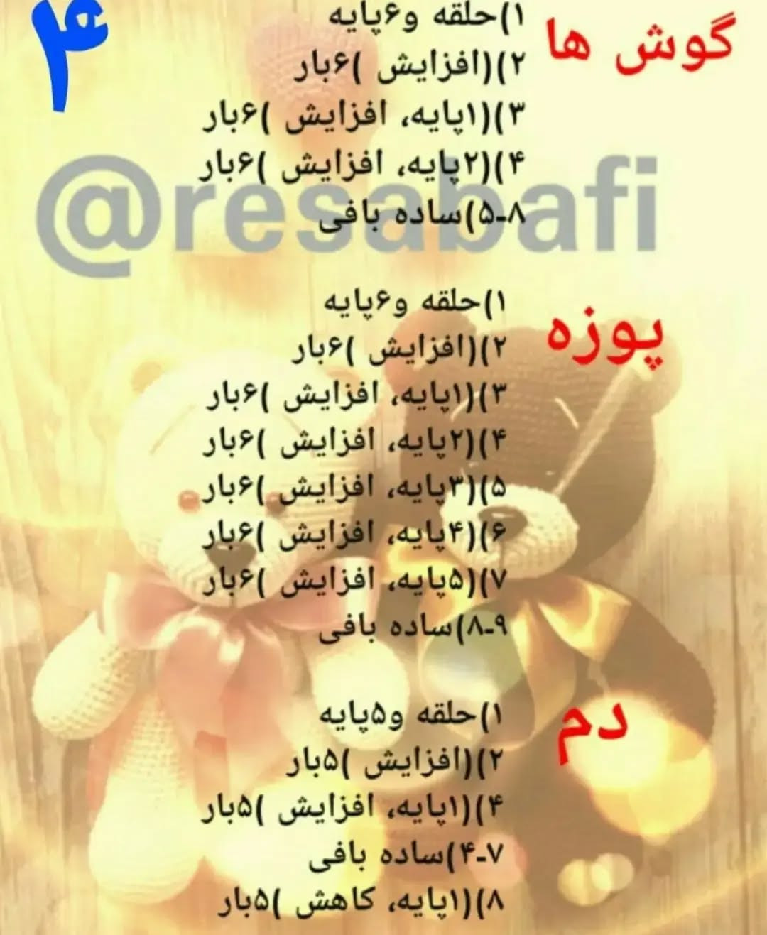 آموزش خرس های دوقلو