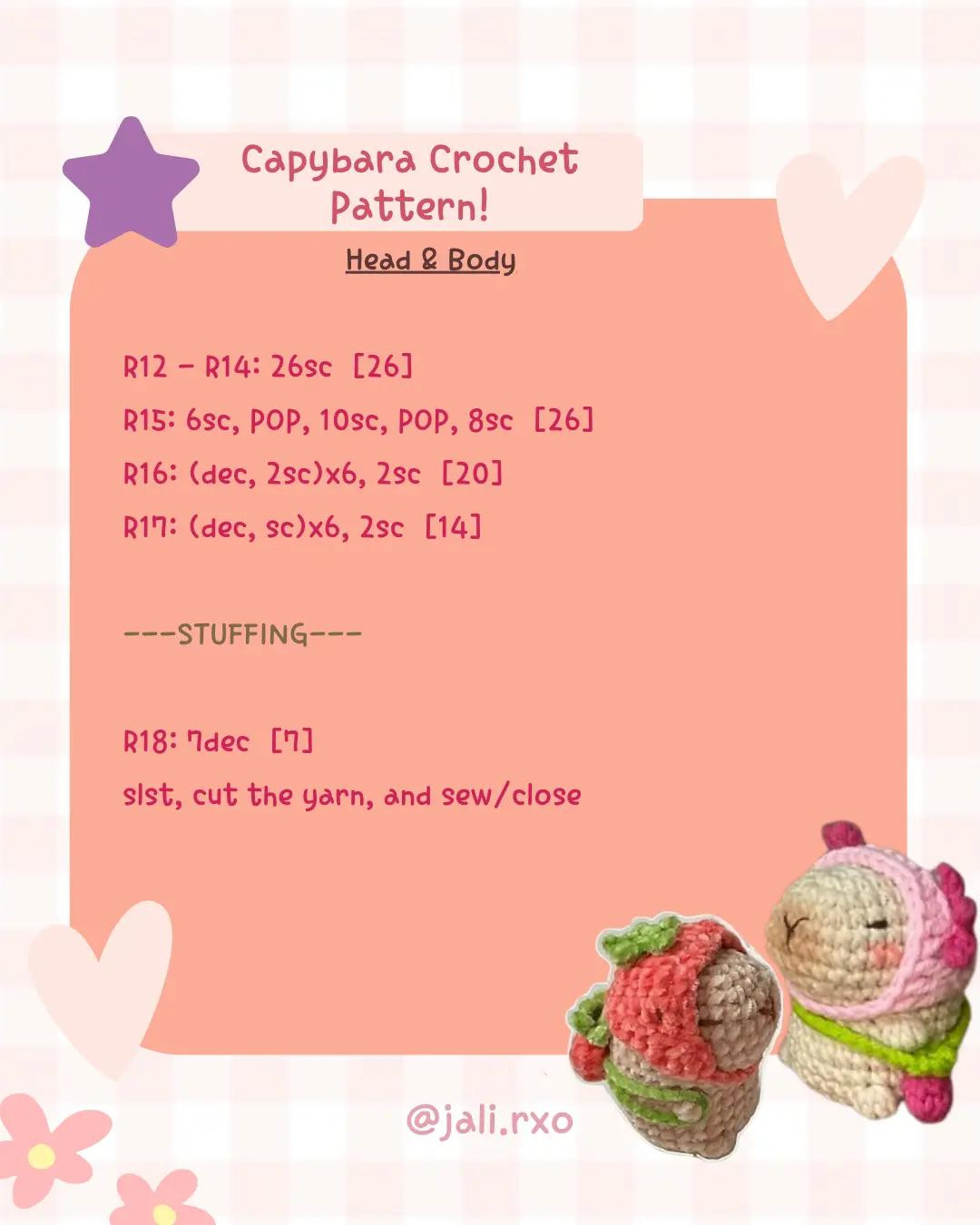 Adorable Capybara Crochet Pattern for Beginners