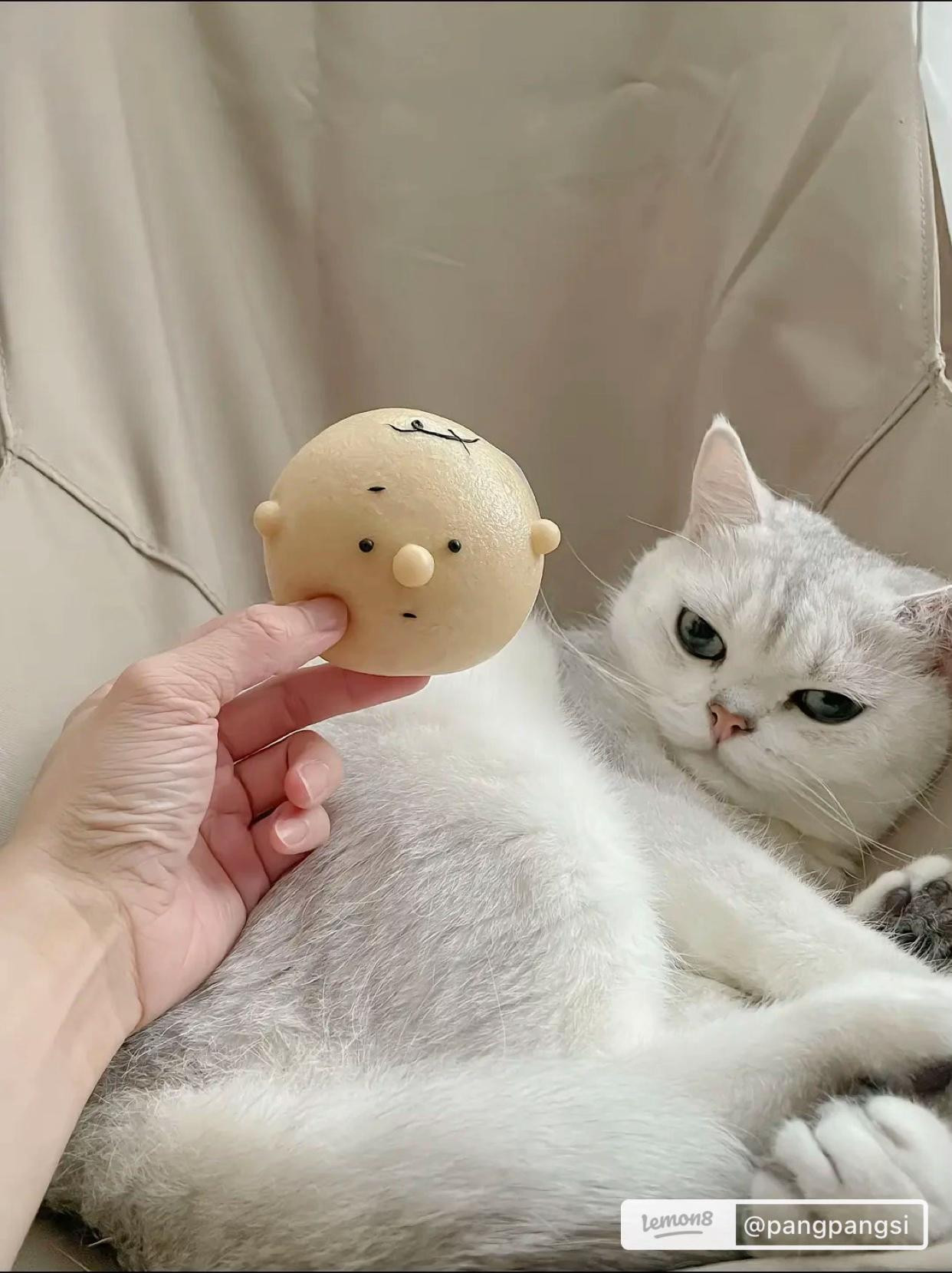 Bánh Bao Baby Dễ Thương - Ngon Khó Cưỡng