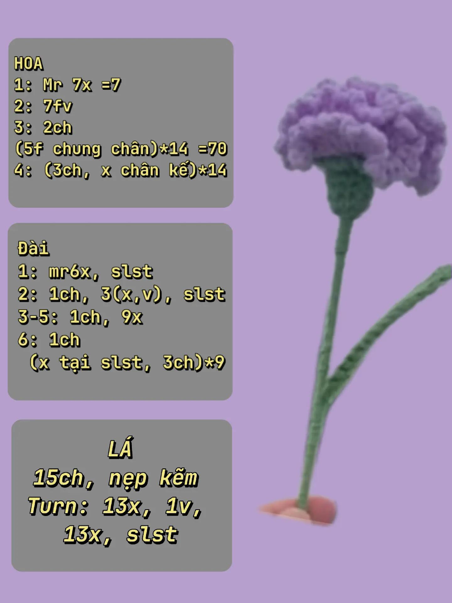 Cách Móc Hoa Cẩm Chướng Tím Bằng Len