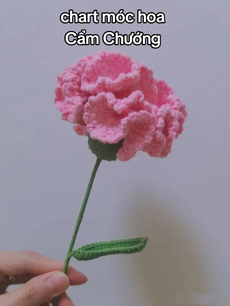 Cách Móc Hoa Cẩm Chướng Tím Bằng Len