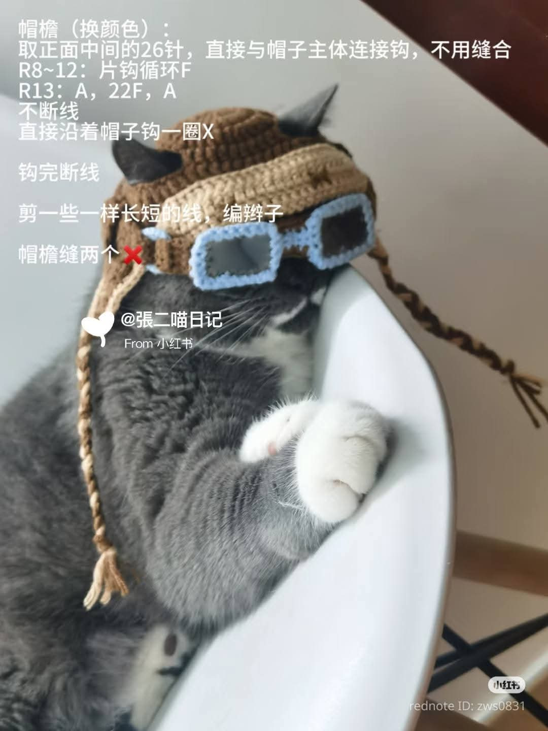 Cat in Crochet Aviator Hat Enjoys a Sunset View