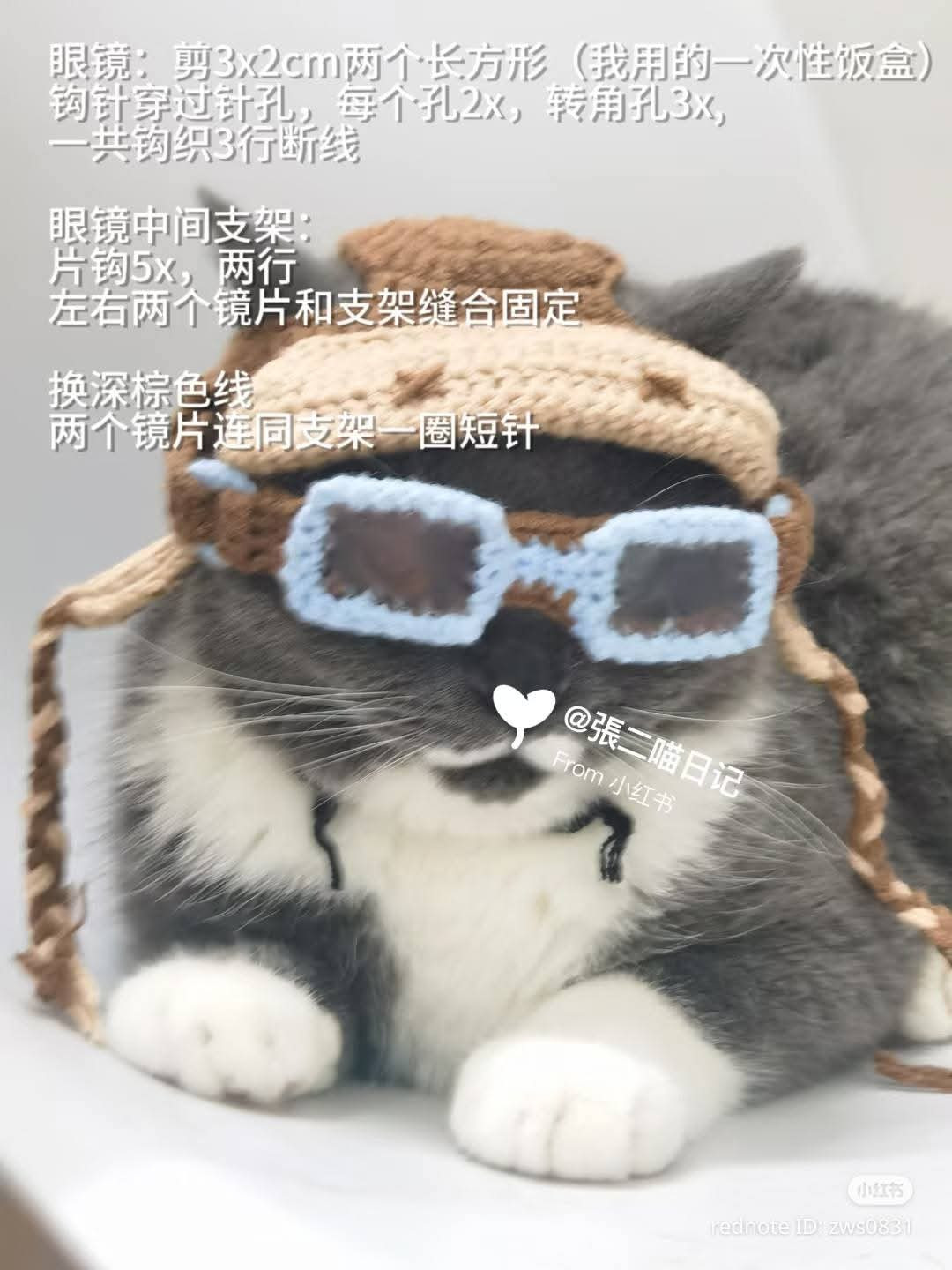 Cat in Crochet Aviator Hat Enjoys a Sunset View