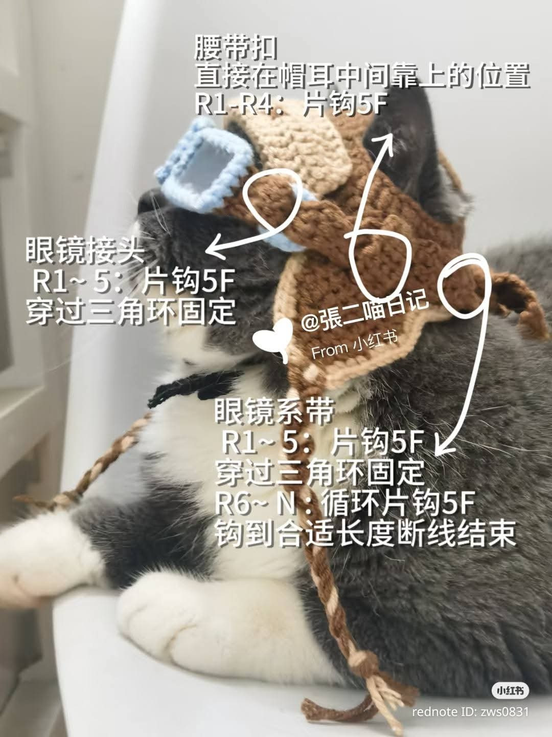 Cat in Crochet Aviator Hat Enjoys a Sunset View