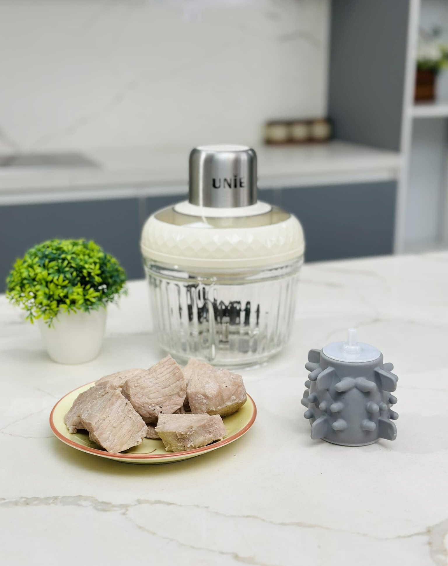 Chà Bông Nạc Thăn Siêu Bông Mịn Thơm Ngon Tại Gia