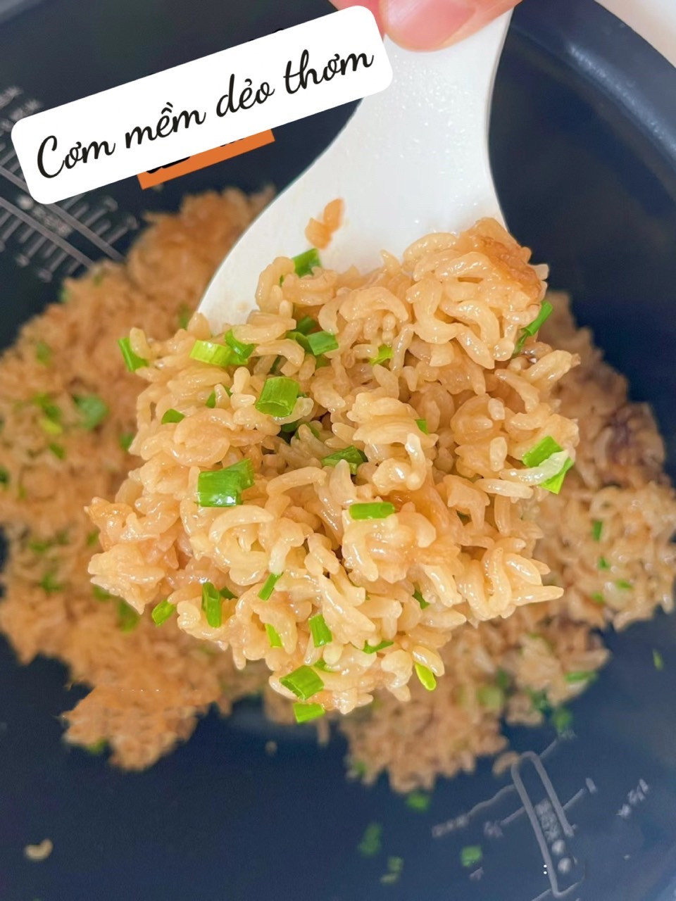 Cơm Gà Thơm Lừng Hành Lá Cho Bé Yêu