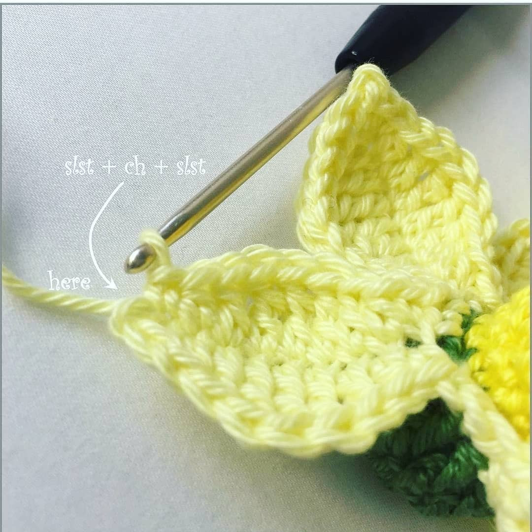 Crochet Pattern for Beautiful Yellow Daffodil Flower