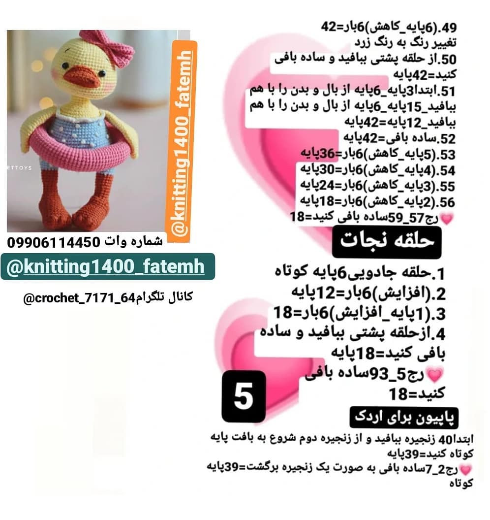 دستور بافت اردک زیبا با کلاه صورتی و شناور