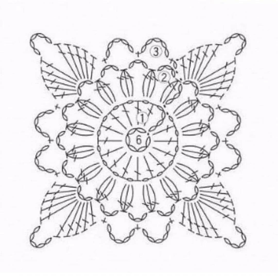 Elegant Crochet Crop Top with Floral and Lace Details