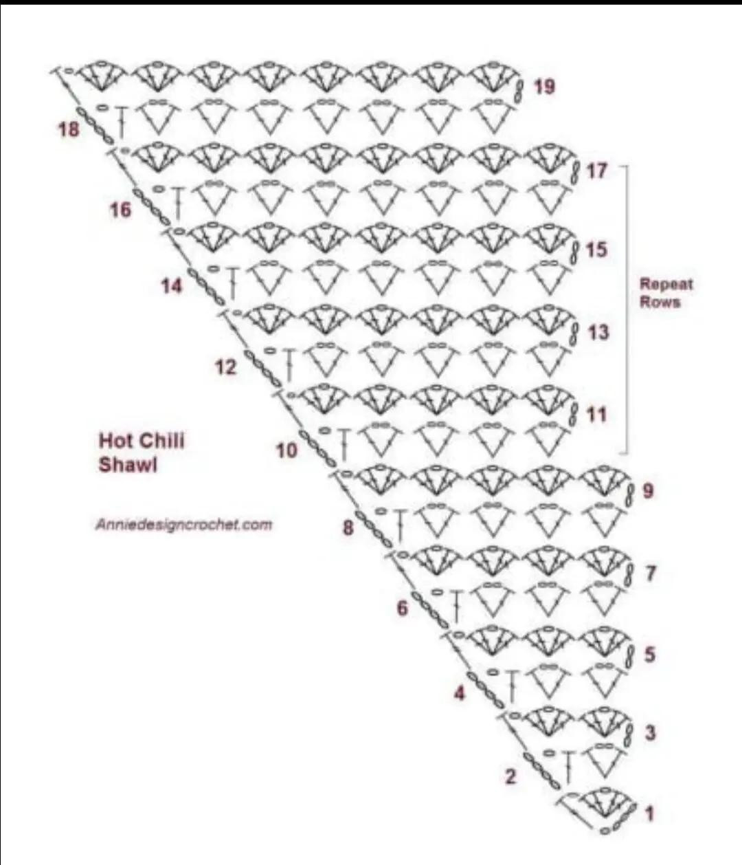 Elegant Crochet Shawl Pattern with Lacy Design for Beginners