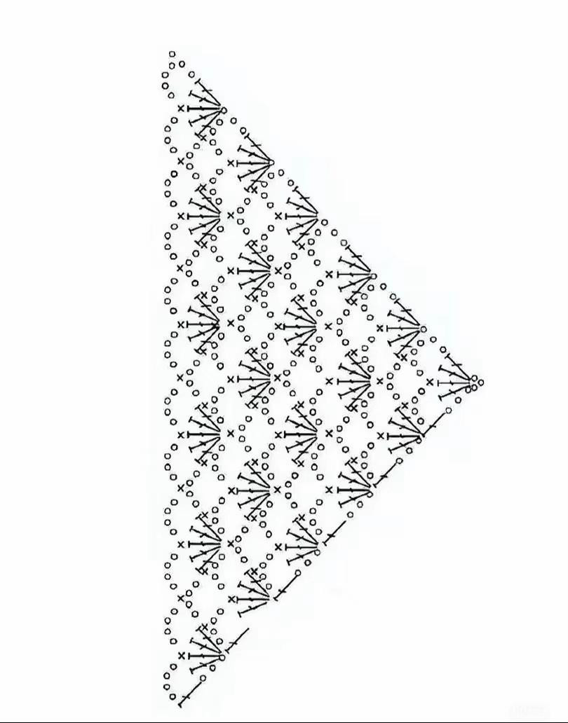 Elegant Crochet Shawl with Shell and Flower Details