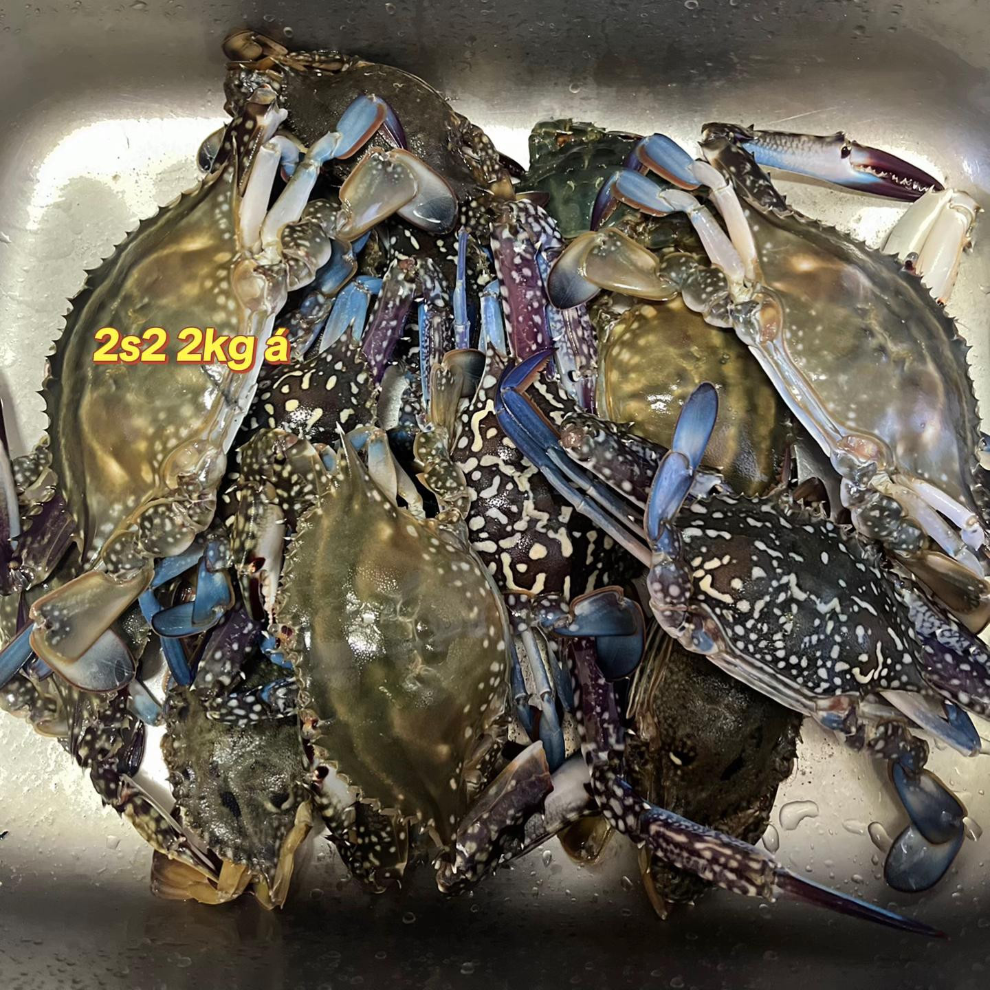 Ghẹ Sốt Bơ Tỏi Ngậy Ngọt Gây Nghiện