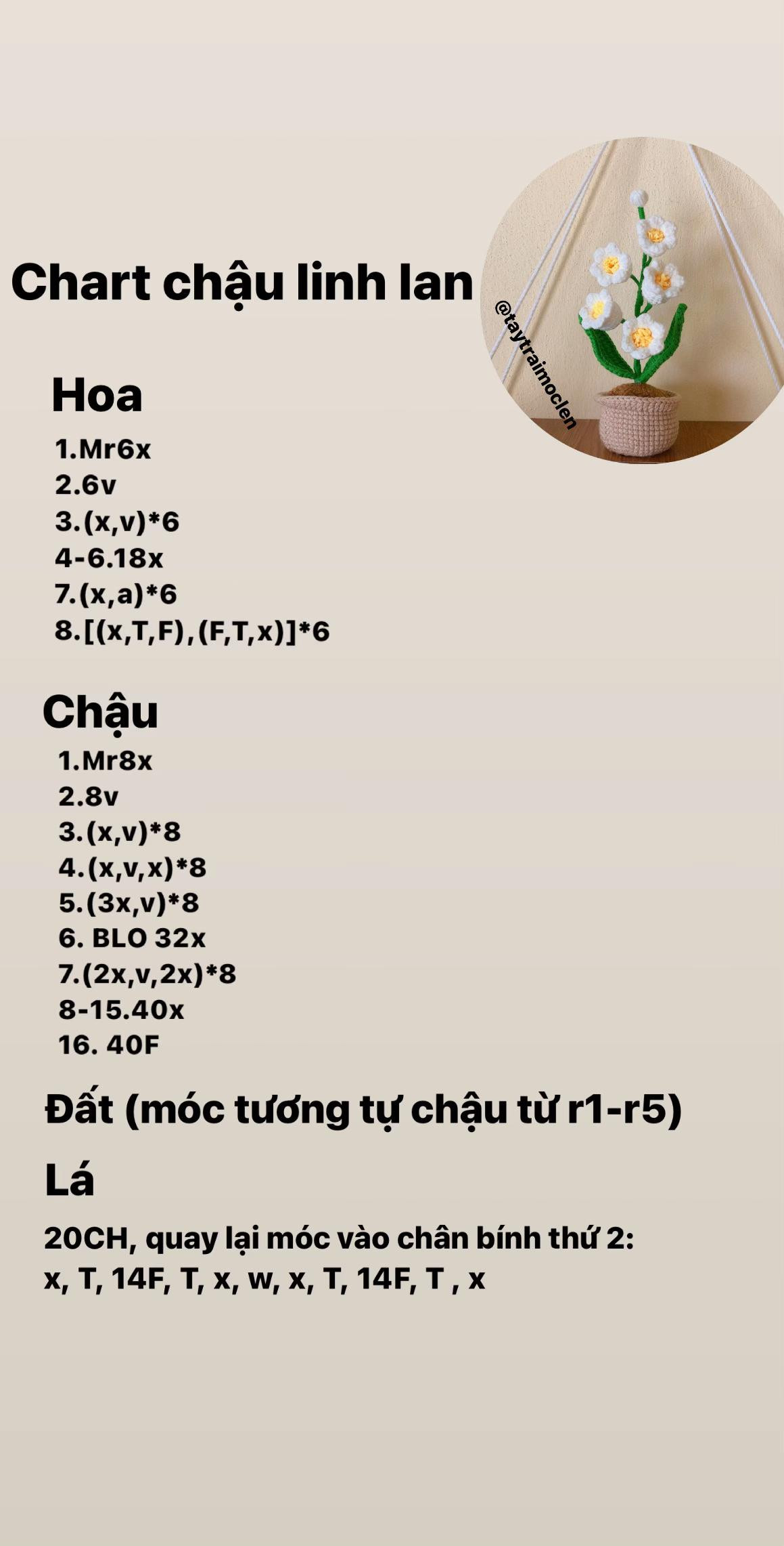 Hướng dẫn móc len chậu hoa linh lan chi tiết và dễ hiểu