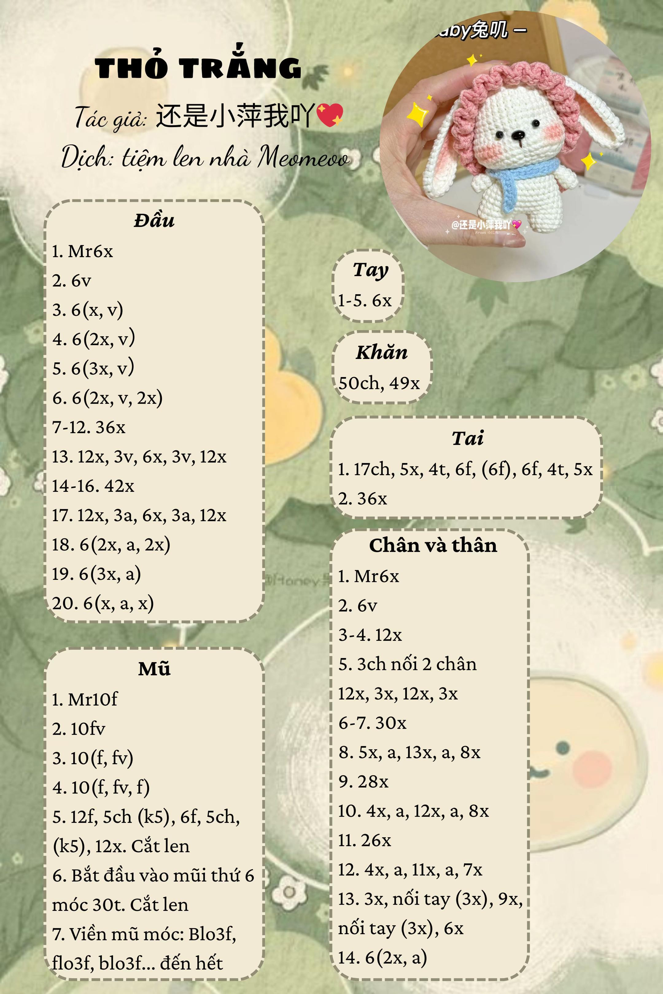 P5: Chart thỏ trắng