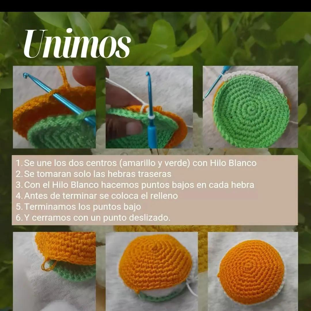 Patrón de alfiletero de margarita a crochet creativo