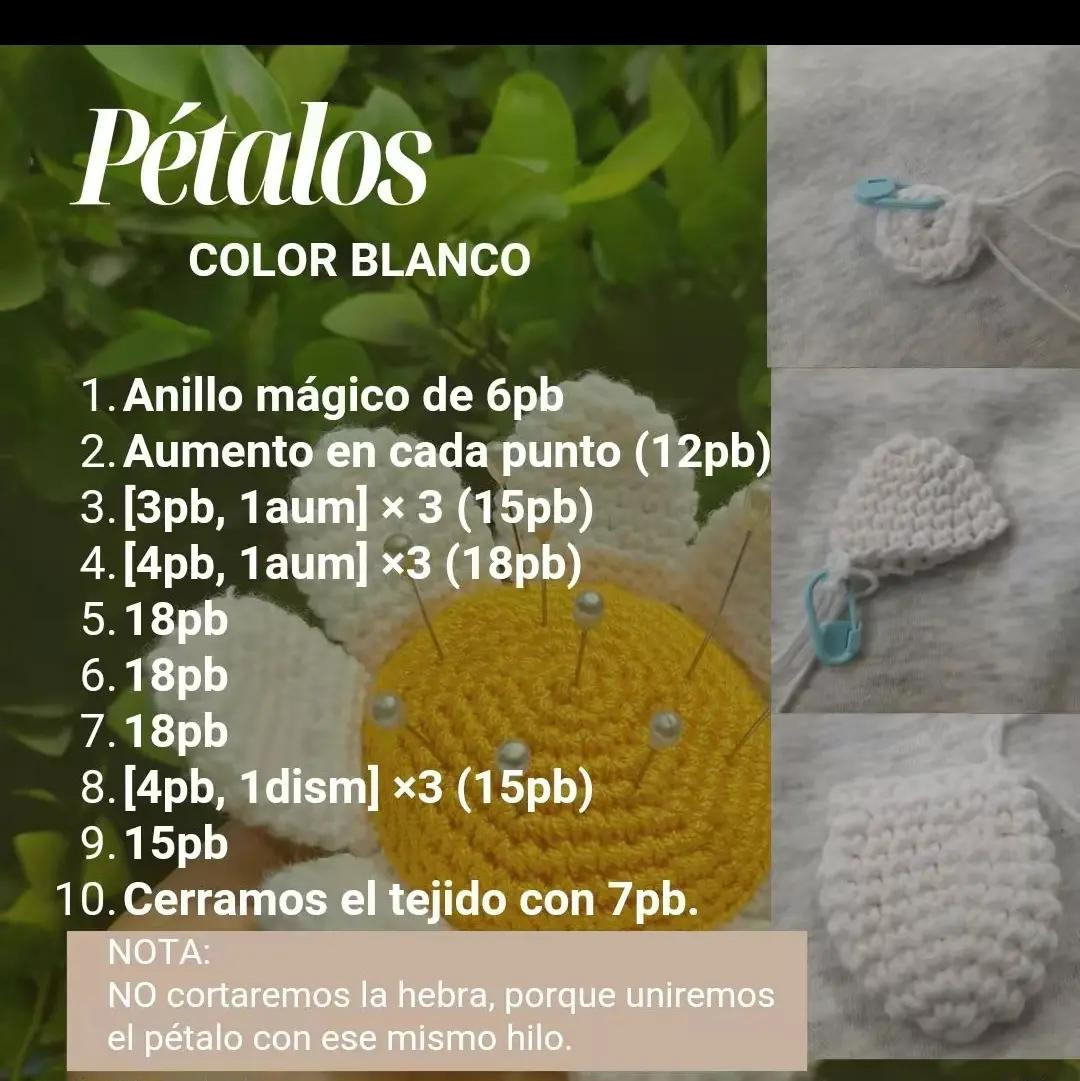Patrón de alfiletero de margarita a crochet creativo