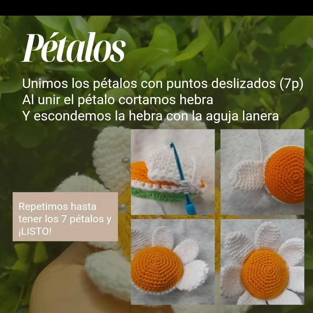 Patrón de alfiletero de margarita a crochet creativo