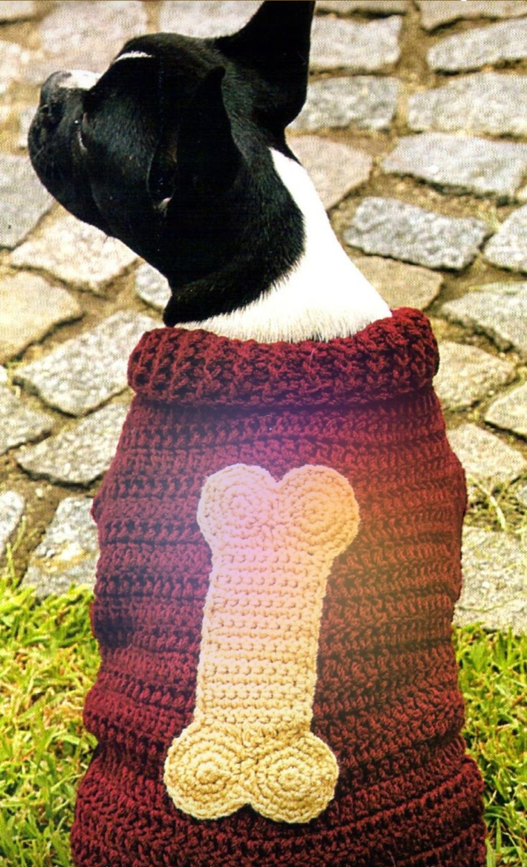 “Roupinhas que Aquecem e Encantam 🧶🐶”