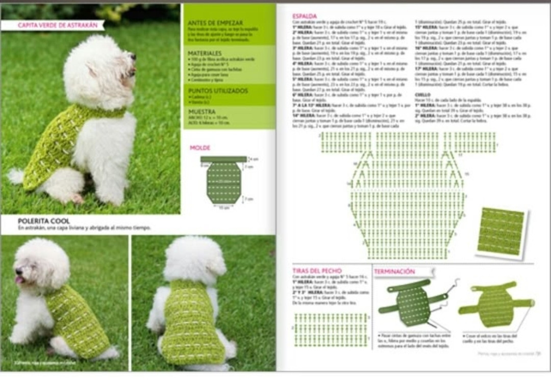 “Roupinhas que Aquecem e Encantam 🧶🐶”