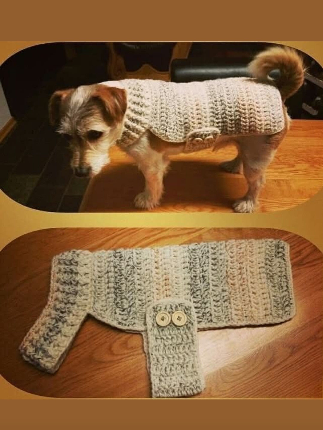 “Roupinhas que Aquecem e Encantam 🧶🐶”