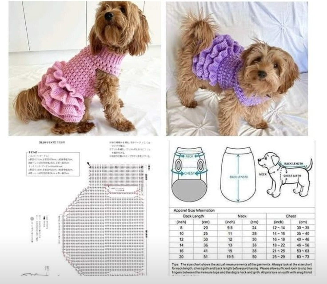 “Roupinhas que Aquecem e Encantam 🧶🐶”