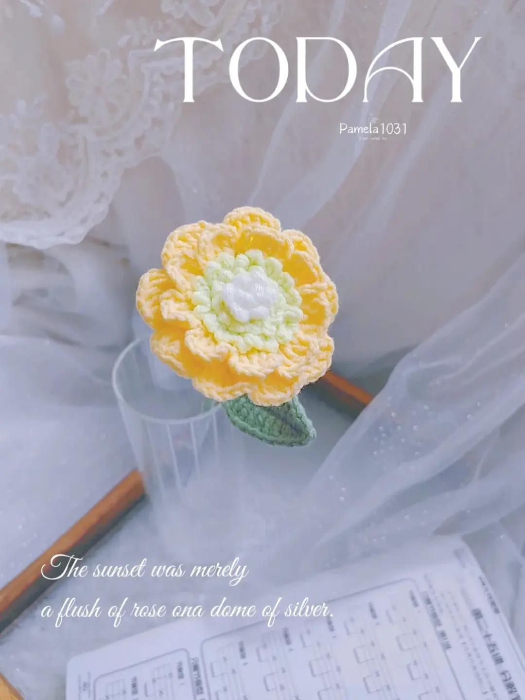 Share chart hoa Cúc Lọ Lem (Cineraria)