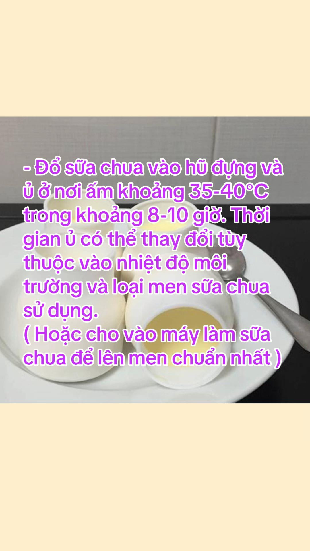 Sữa Chua Phô Mai Đà Lạt Mịn Màng Thơm Ngon