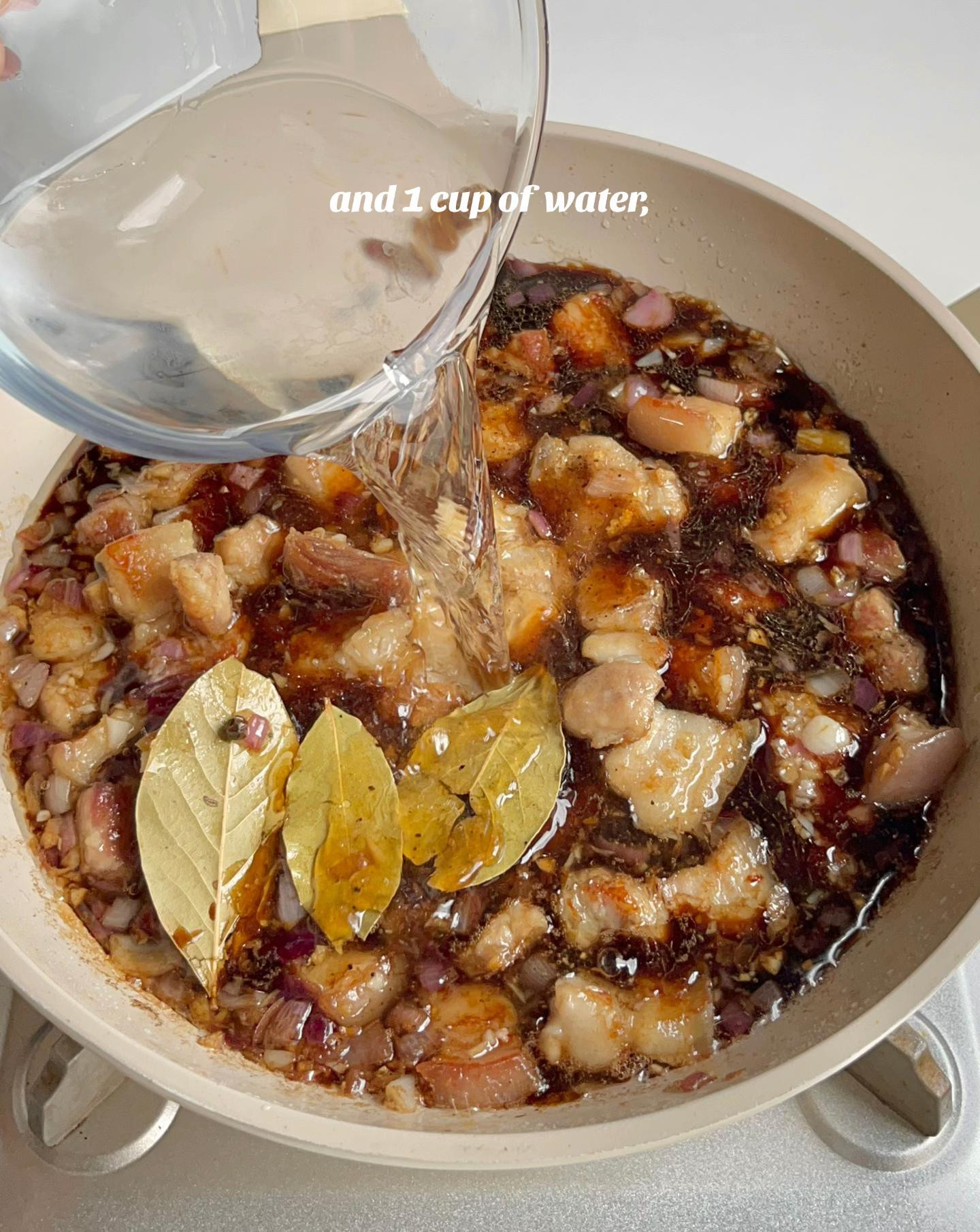 Sweet and Savory Pineapple Pork Adobo Delight