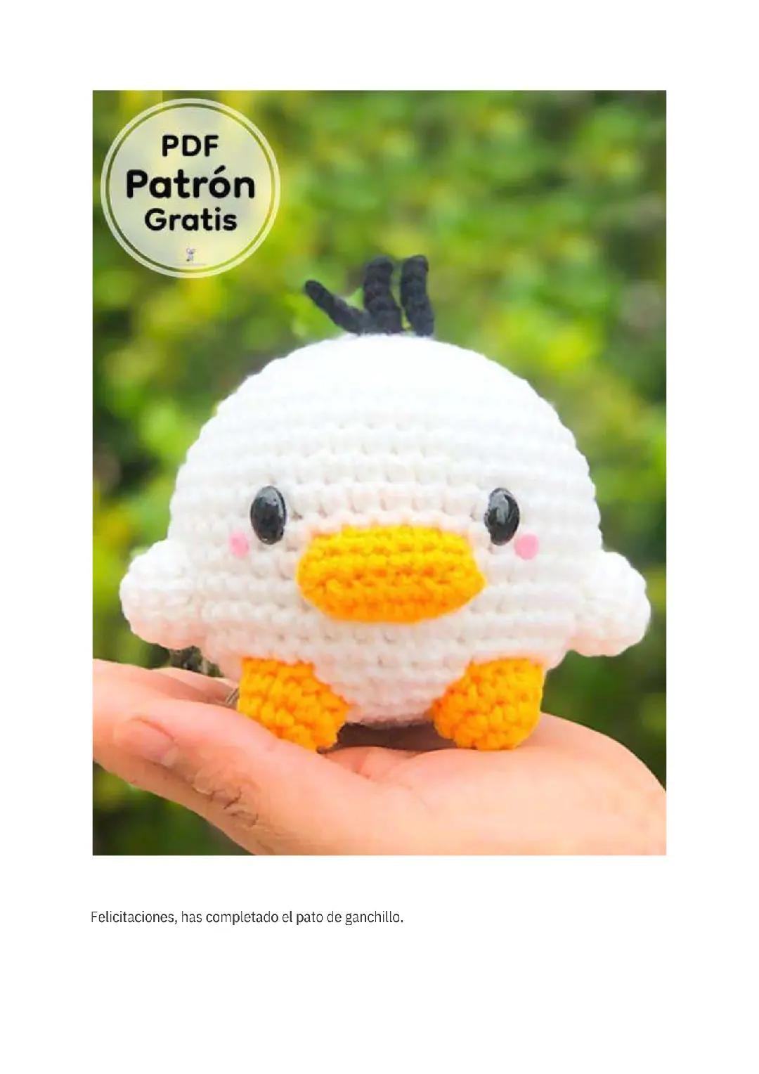 Txapeladun Ahate Maitagarria, Eskulanetarako Patroi Ederra