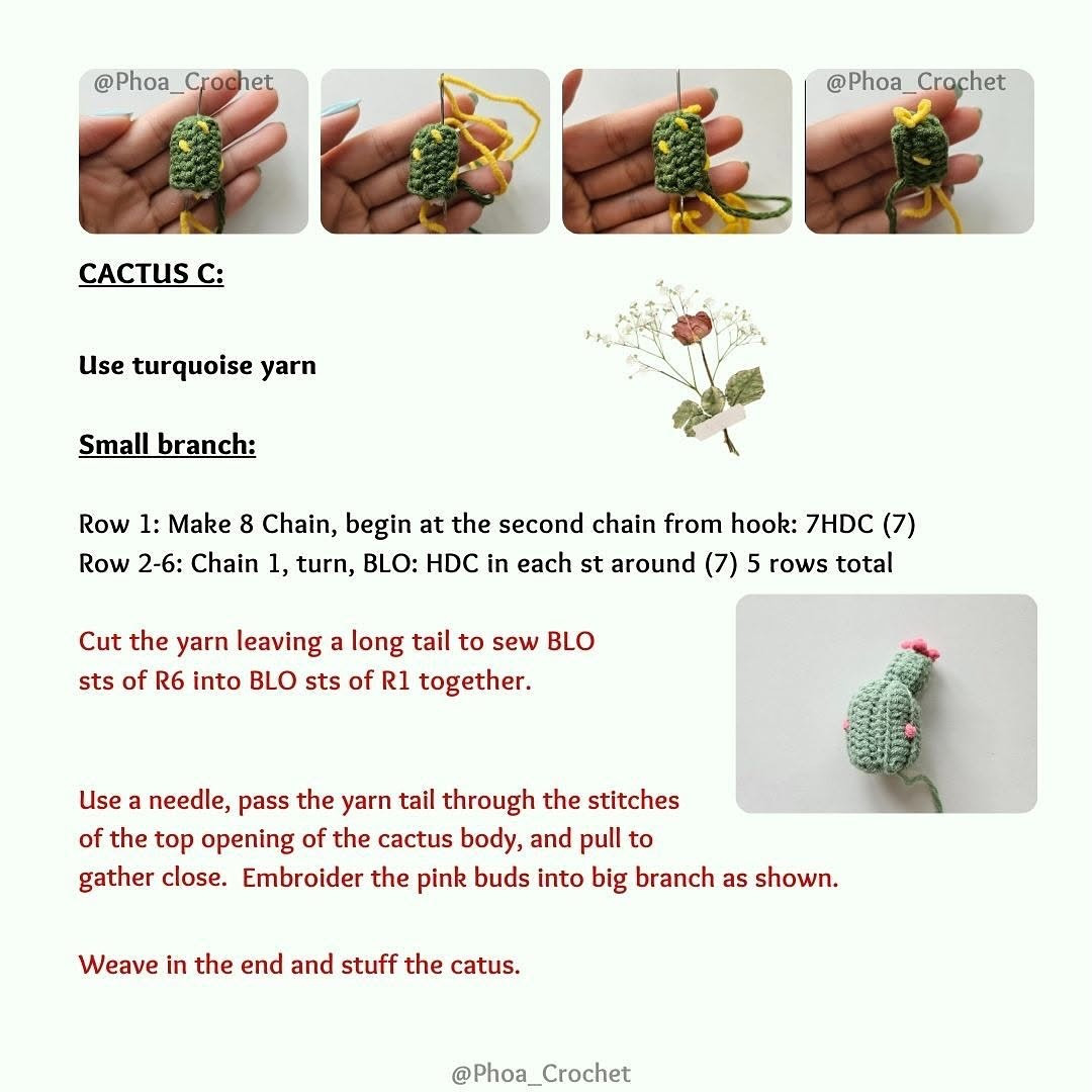 Amigurumi Crochet Pattern: Cute Cactus Garden Free Tutorial