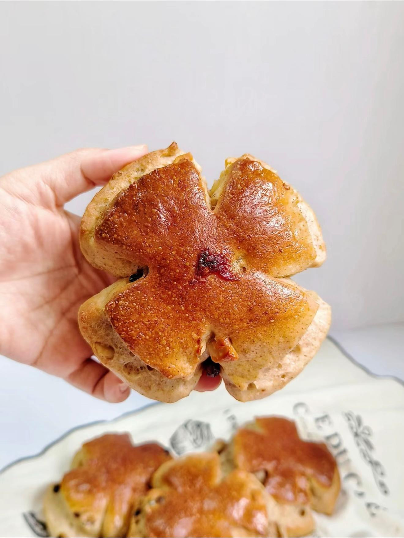 Bánh mì nguyên cám óc chó