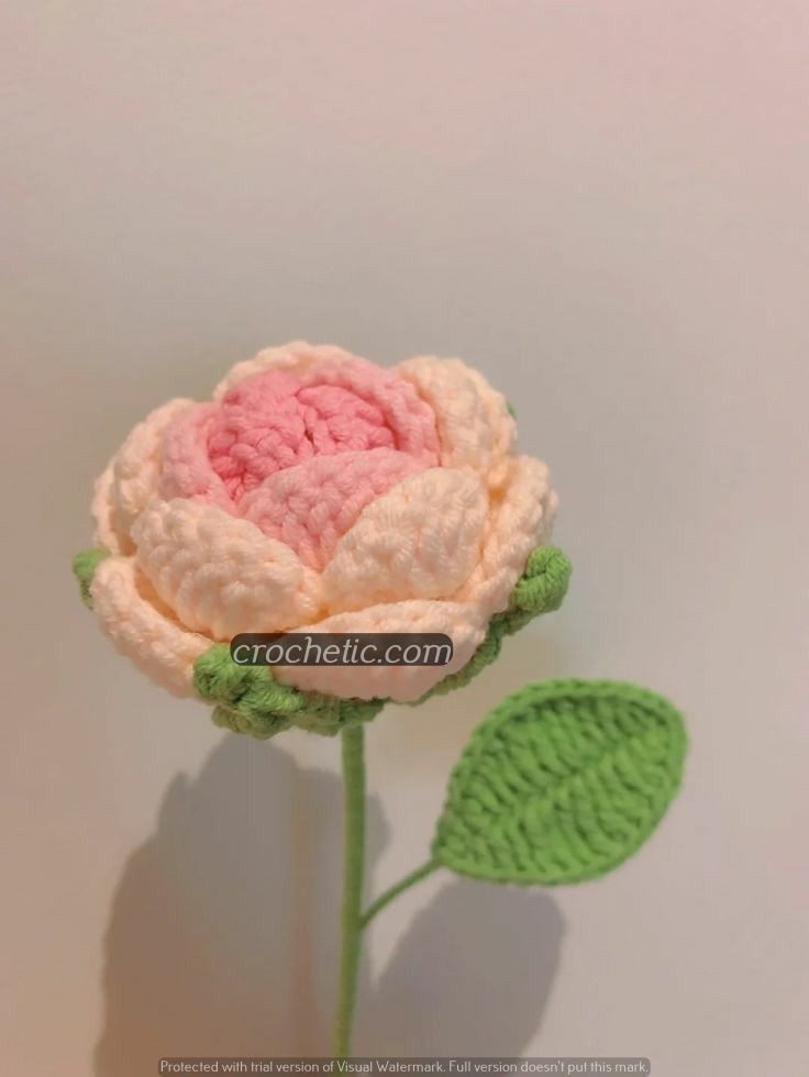 Bó hoa hồng móc len tinh tế cho không gian thêm lãng mạn