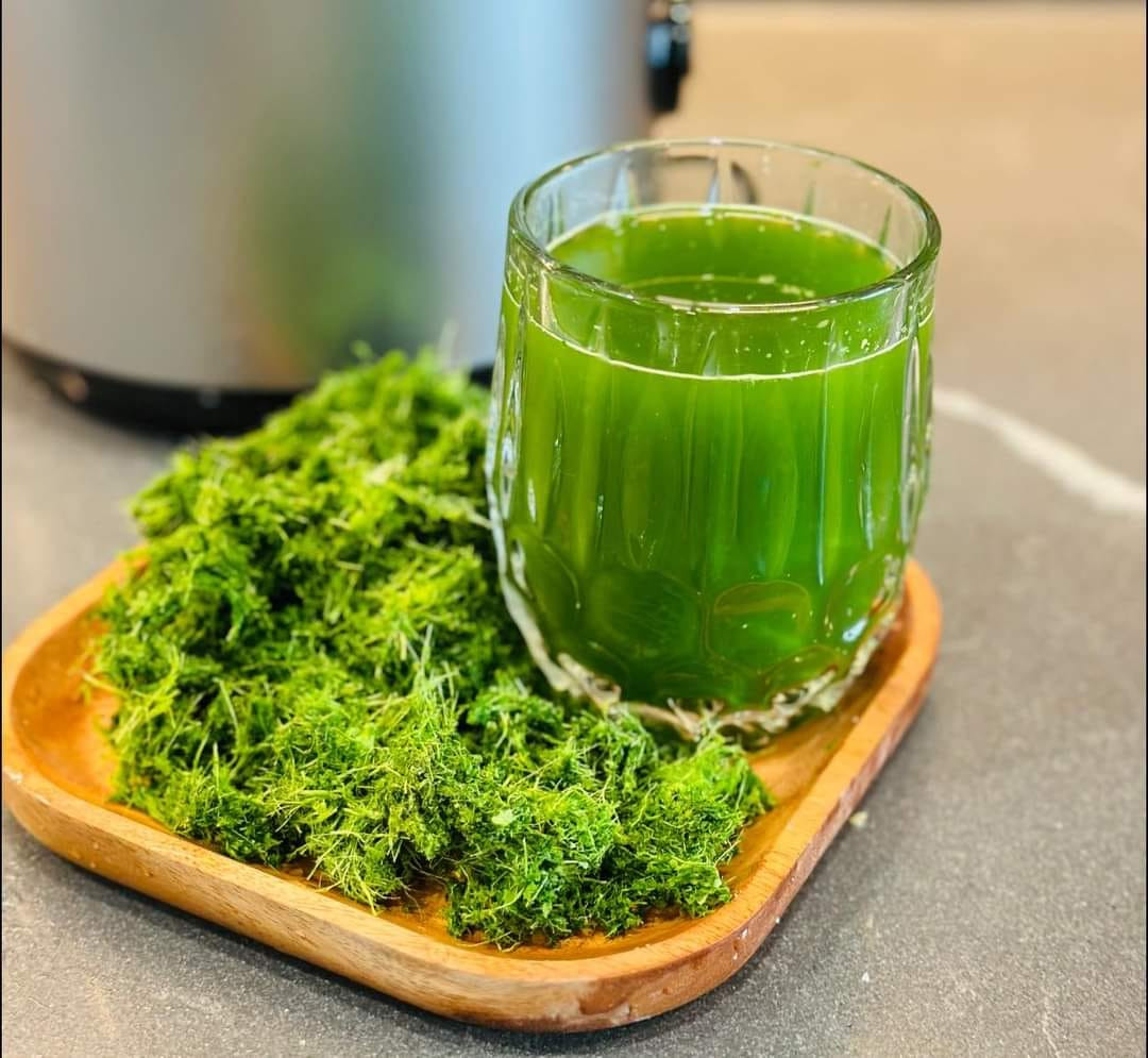 Chia Sẻ Bí Quyết Làm Nước Cốt Lá Nếp Xanh - Thơm - Tươi - Không Thâm và Hăng