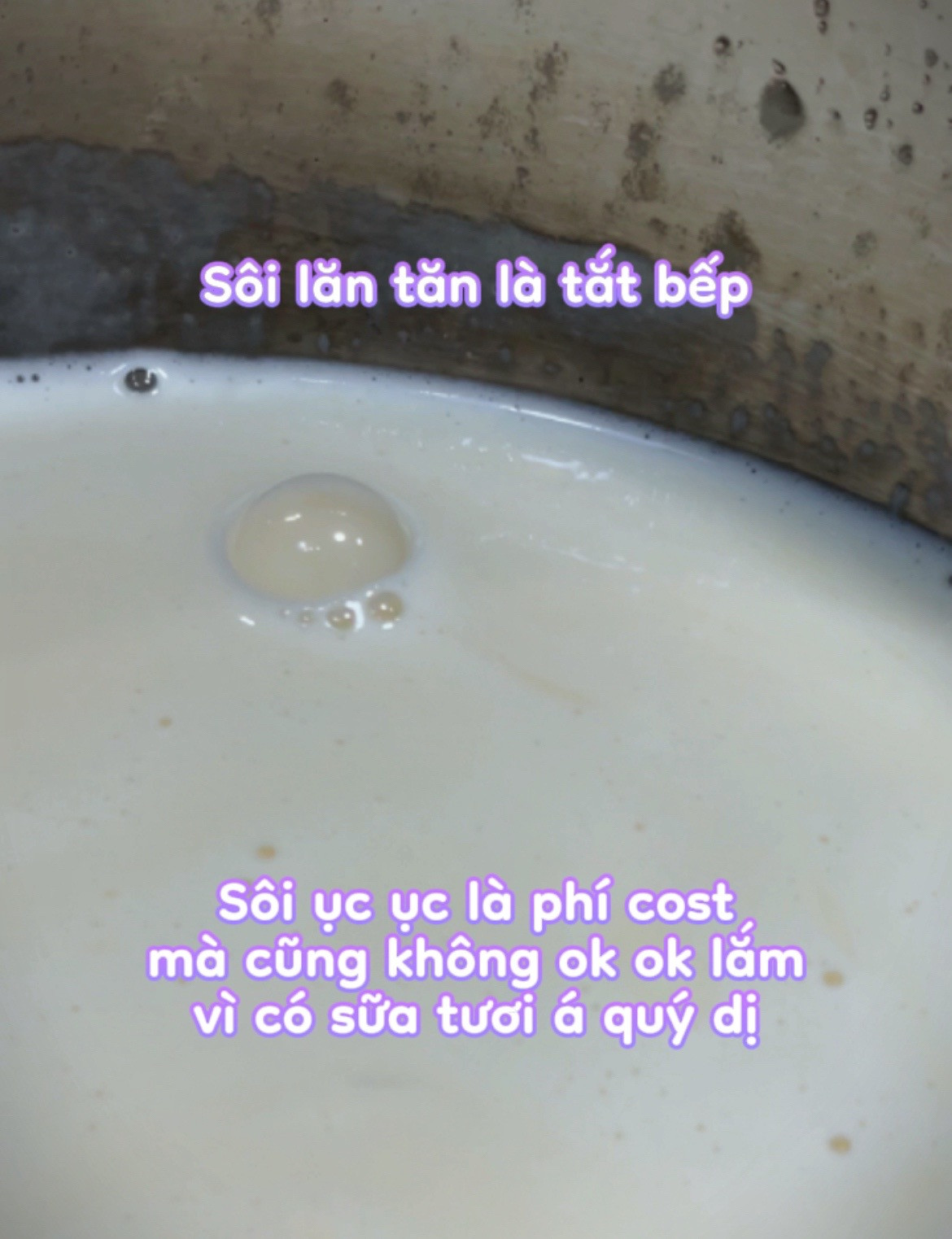 Chia sẻ cách làm bánh panna cotta!