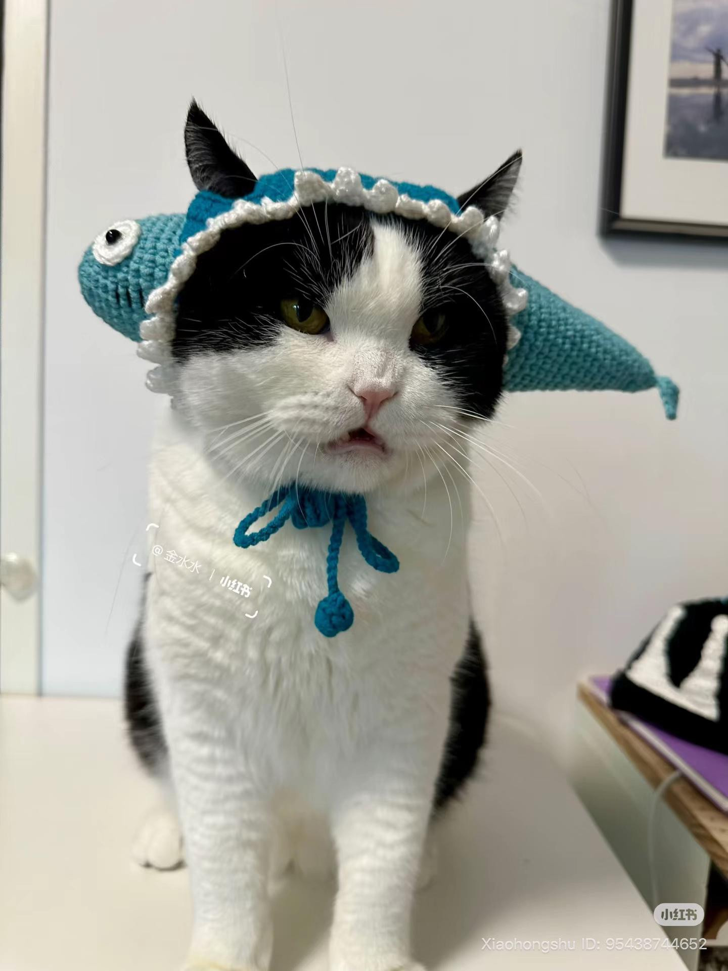 Crochet Fish Hat for Cats: Cute and Fun DIY Project