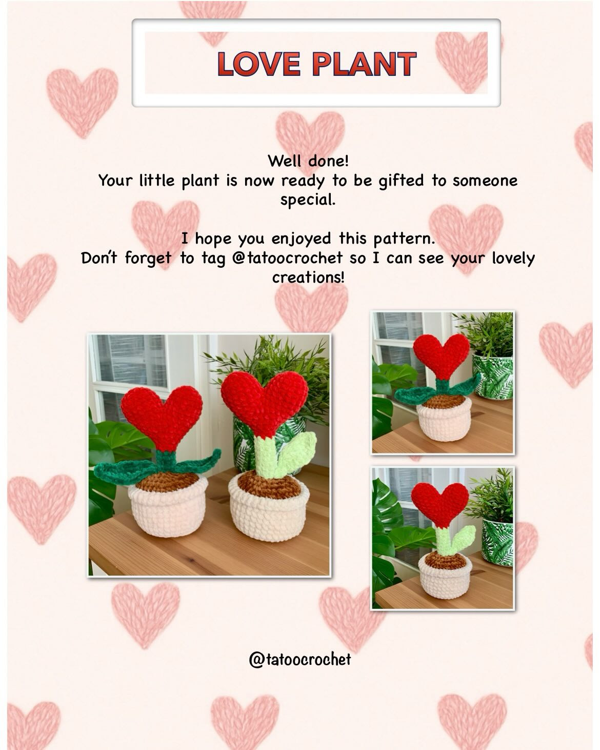 Crochet Heart-Shaped Love Plant Pattern for Beginners