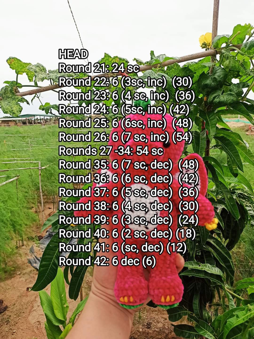 Crochet Pattern for Adorable Dragon Fruit Plush Toy