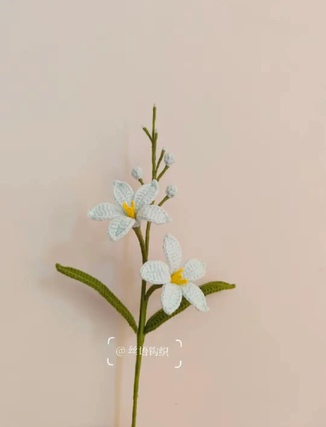 Crochet Pattern for Snow Berry Decoration with Detailed Instructions