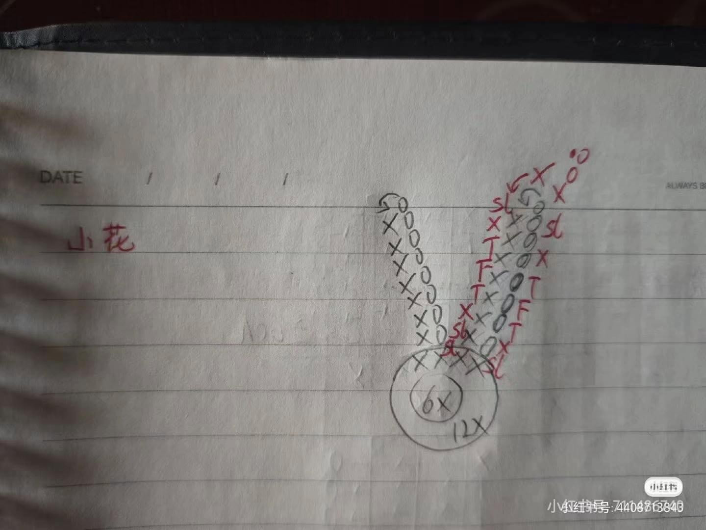 Crochet Spider Plant with Delicate White Flowers