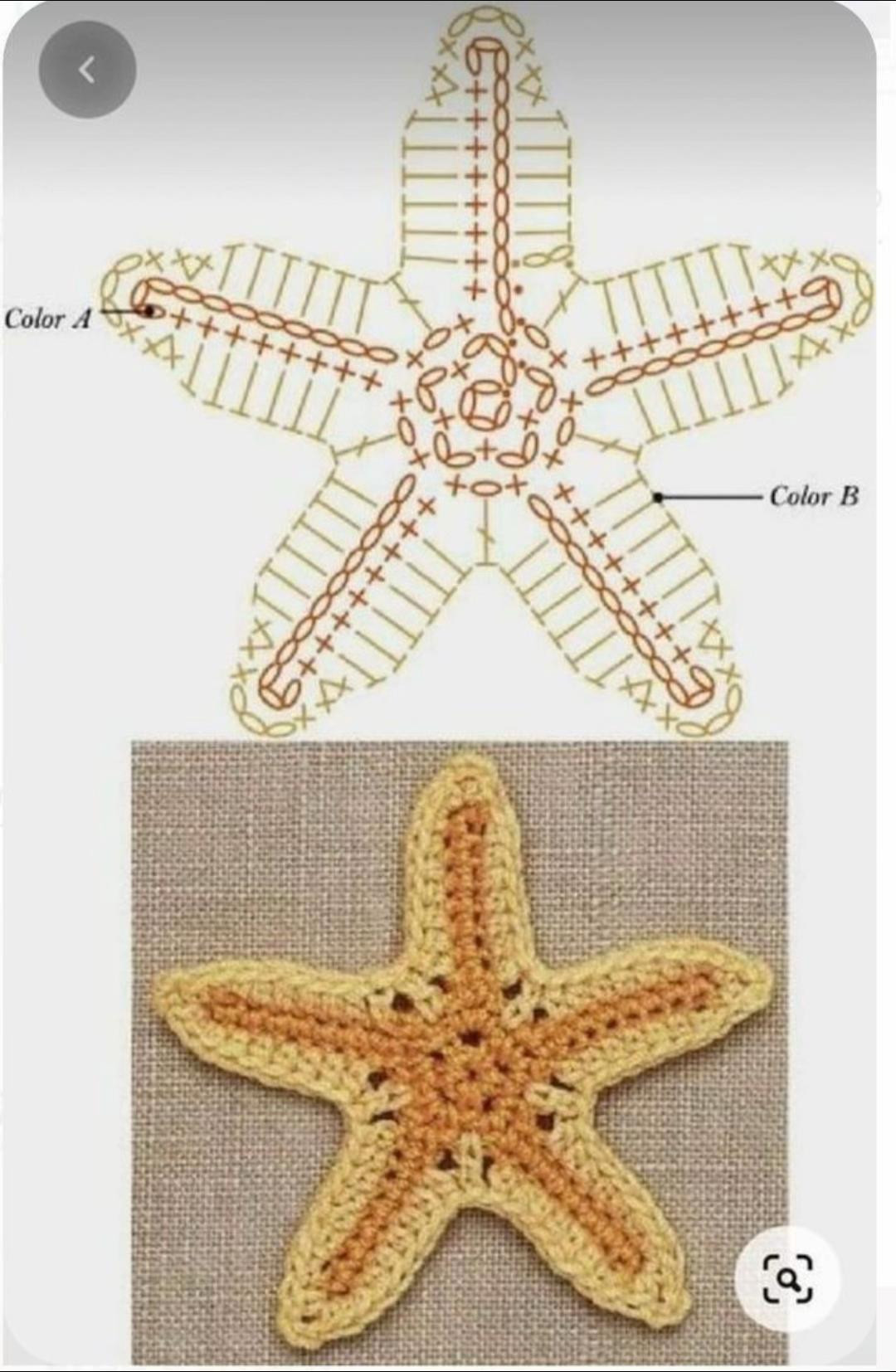 Crochet Starfish Patterns for Crafting Sea-Inspired Decorations