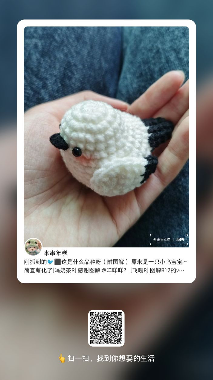 Cute Crochet Bird Pattern for Beginners to Craft