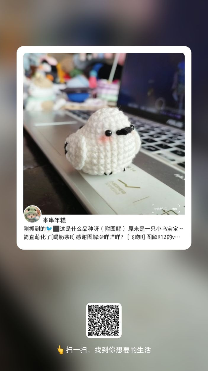 Cute Crochet Bird Pattern for Beginners to Craft