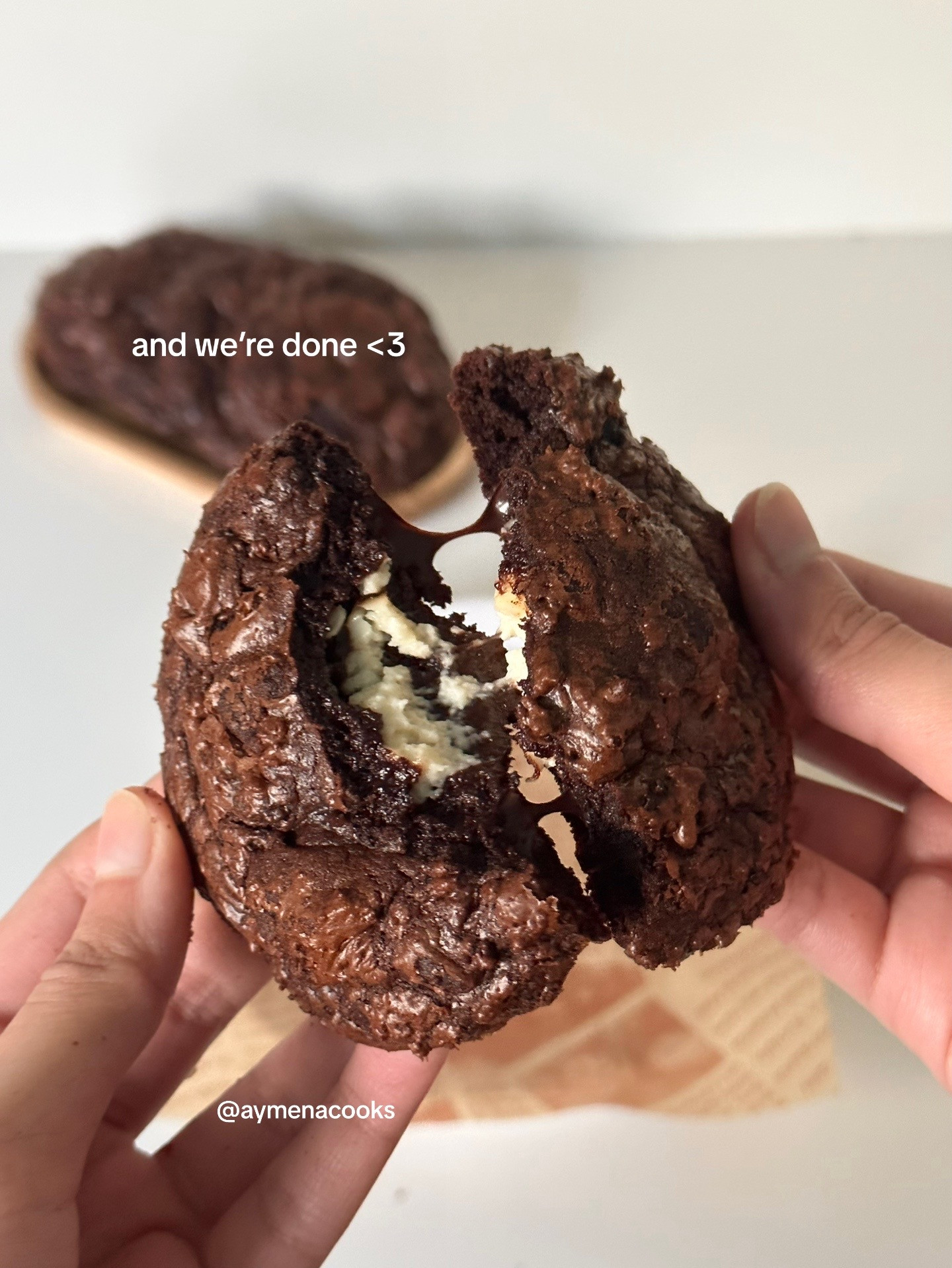 Decadent Brownie Cheesecake Delight