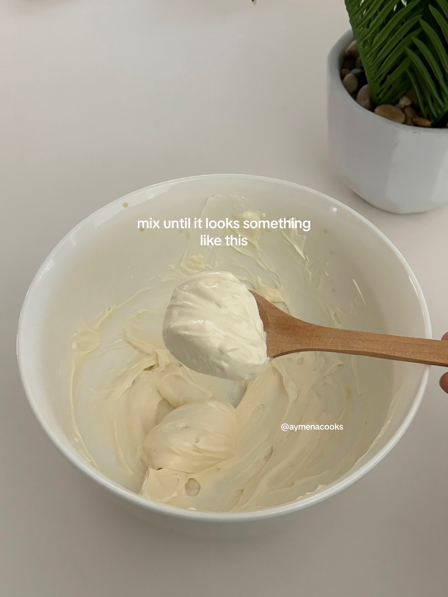 Decadent Brownie Cheesecake Delight