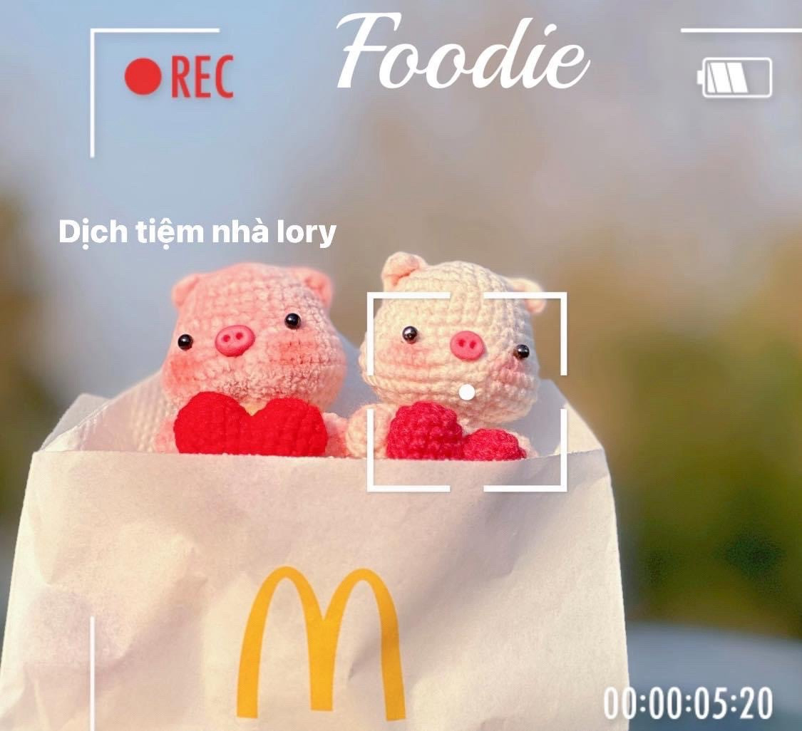 Hai chú heo móc len cầm trái tim trong tay