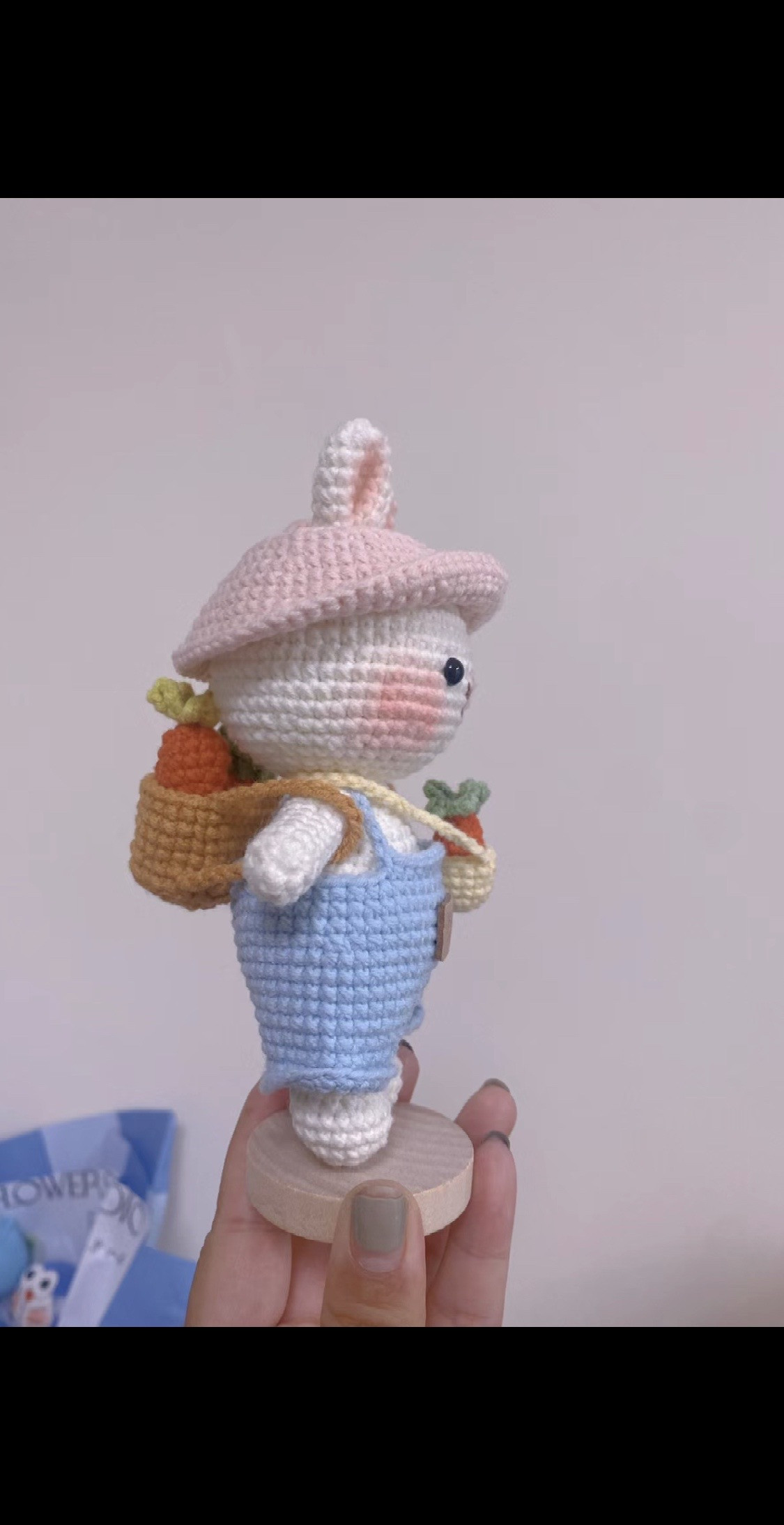 Adorable Crochet Bunny Set with Accessories Pattern