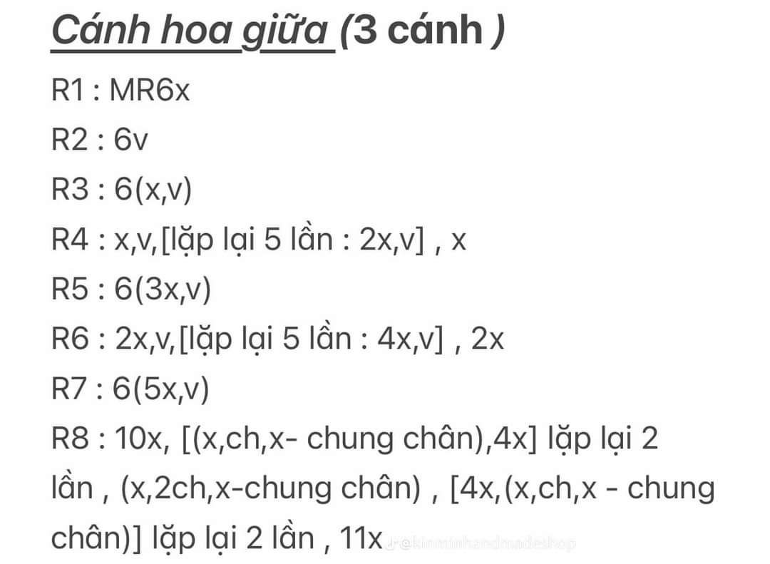 Chart hoa hồng ecuador chi tiết cho người mới bắt đầu