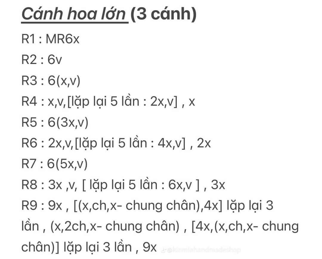 Chart hoa hồng ecuador chi tiết cho người mới bắt đầu